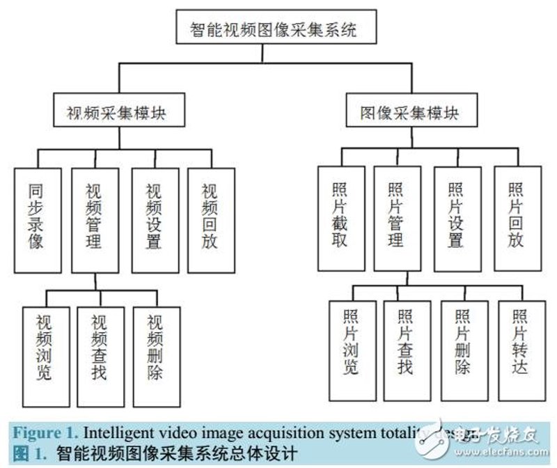 金边土元养殖：全面解析与实操指南